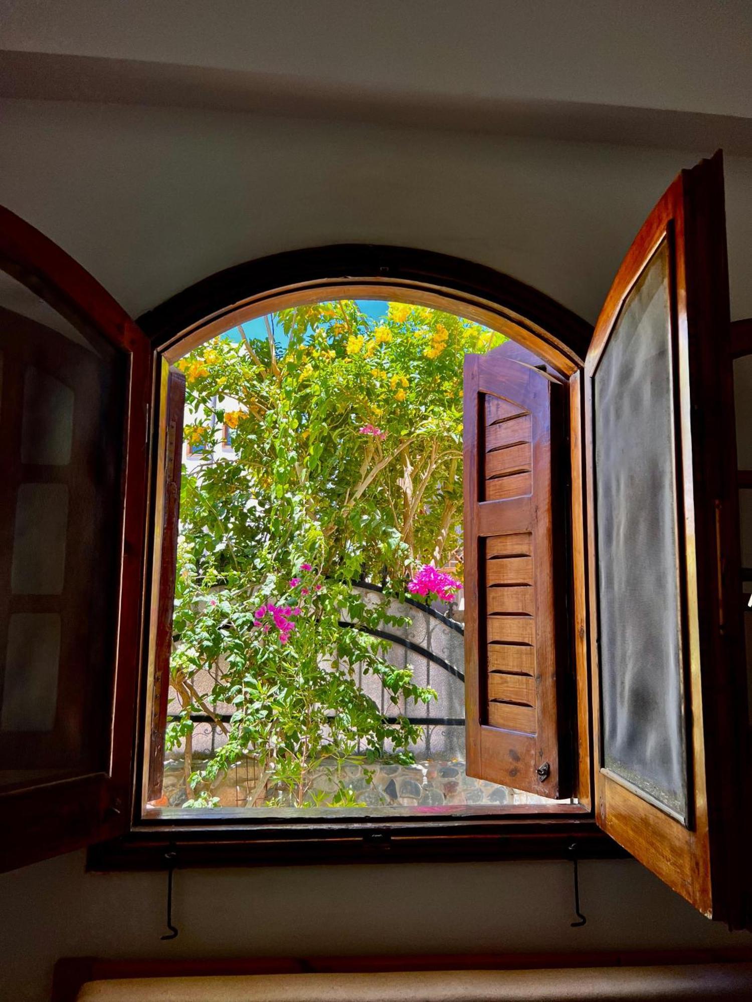 Rafiki Hostels - Dahab Exterior photo